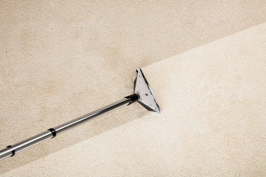 deep cleaning white carpet