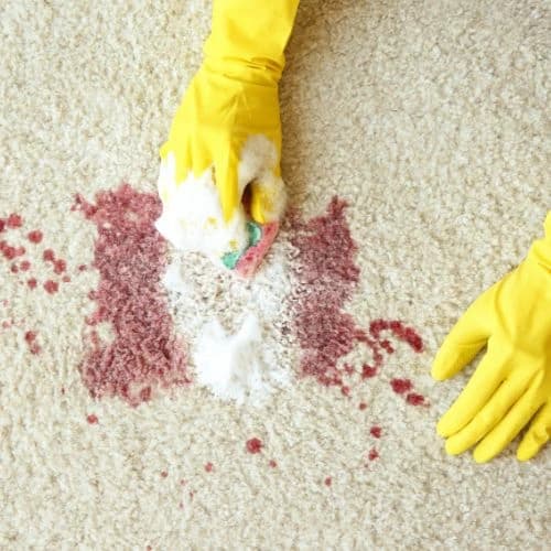 scrubbing stain off a carpet