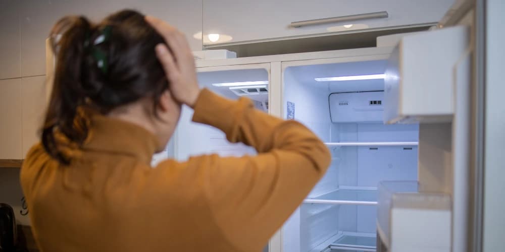 fridge-problems.webp