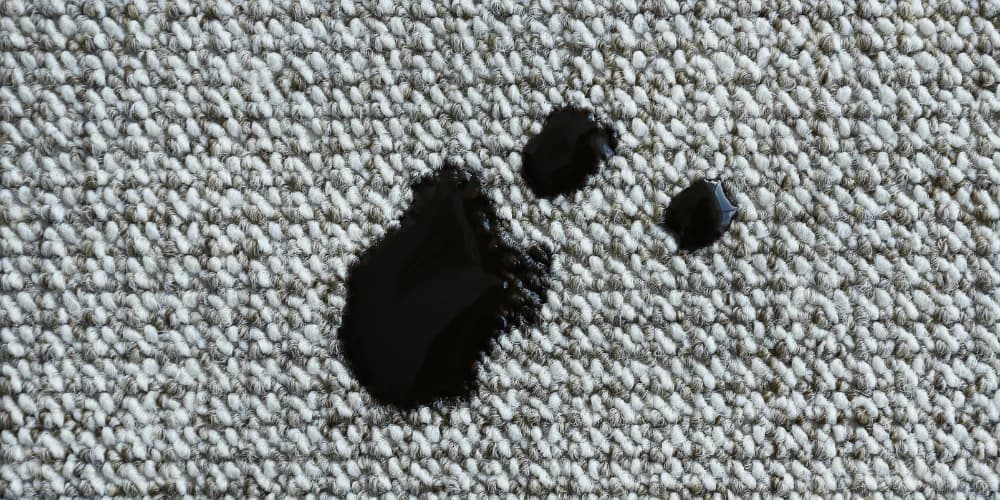 oil-stained-carpet.webp