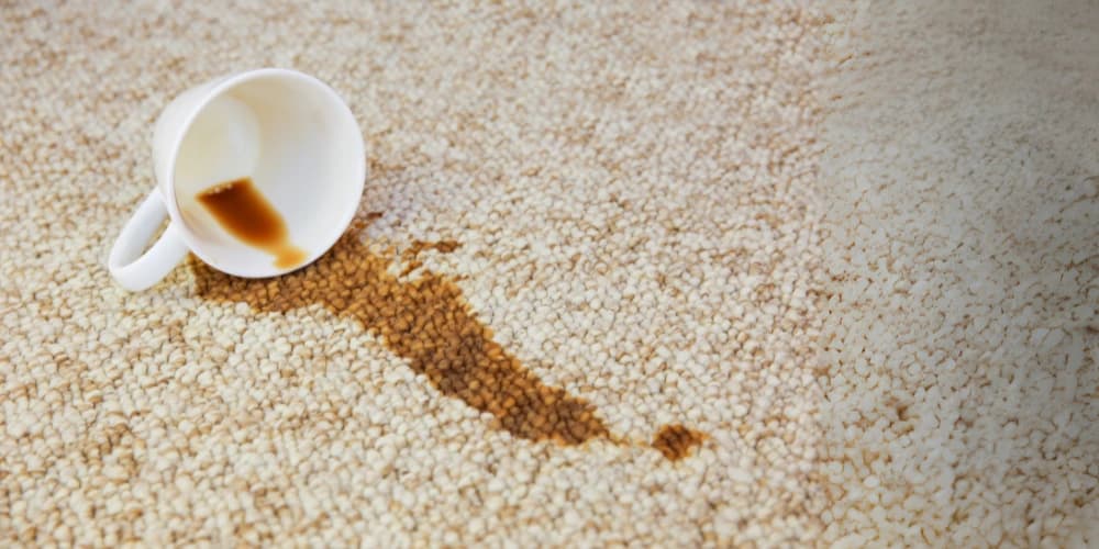 tea-stained-carpet.webp